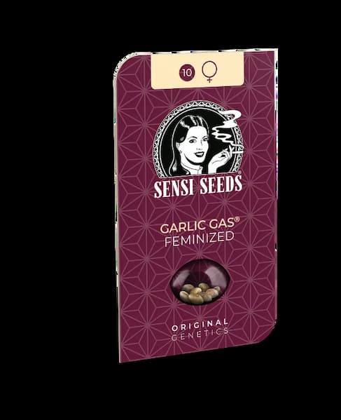 Garlic Gas Seed > Sensi Seeds | Feminized Cannabis   |  Hybrid