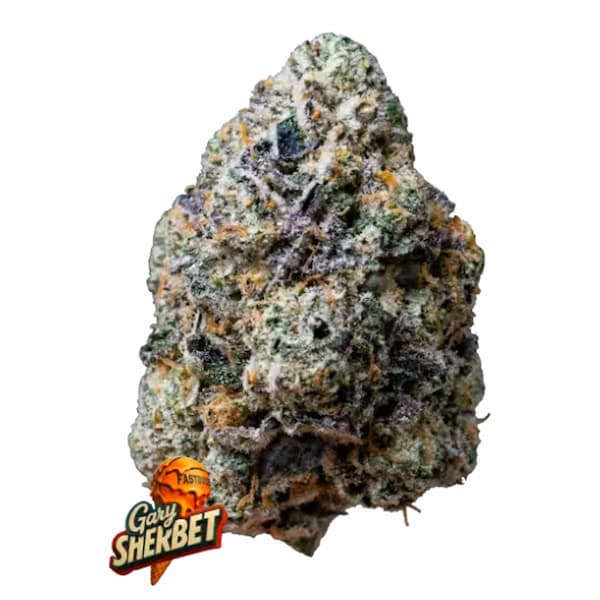 Gary Sherbert Seed > Fast Buds Company | Feminized Cannabis   |  Hybrid