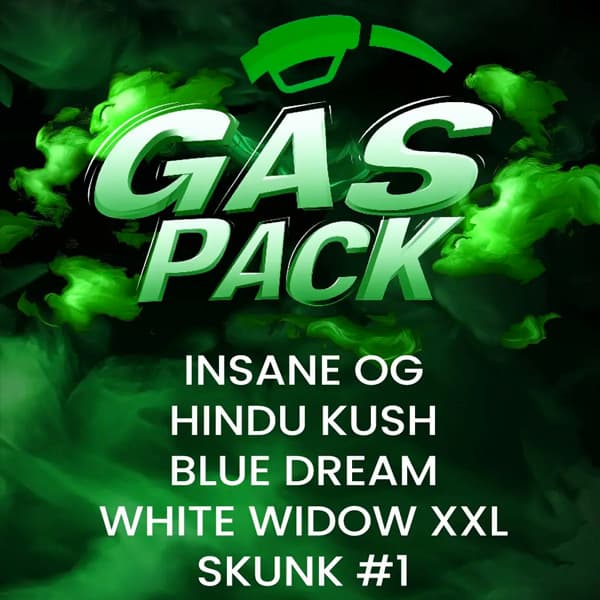 Gas Pack semilla > Barney\'s Farm | Semillas feminizadas  |  Híbrido