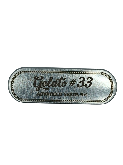 Gelato #33 > Advanced Seeds | Feminized Marijuana   |  Indica