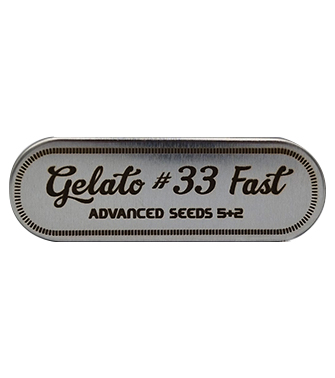 Gelato #33 Fast > Advanced Seeds | Feminized Marijuana   |  Indica