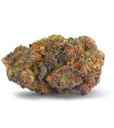 Strain Review
