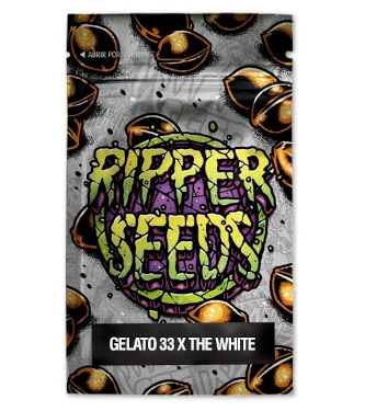 Gelato 33 x The White > Ripper Seeds | Feminized Marijuana   |  Indica