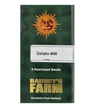 Gelato #45 > Barneys Farm | Feminisierte Hanfsamen  |  Hybrid