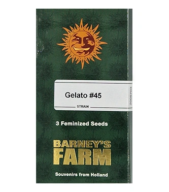 Gelato #45 > Barneys Farm | Graines Féminisées  |  Hybride