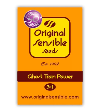 Ghost Train Power > Original Sensible Seeds | Feminisierte Hanfsamen  |  Sativa