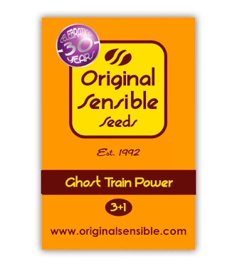 Ghost Train Power > Original Sensible Seeds | Graines Féminisées  |  Sativa