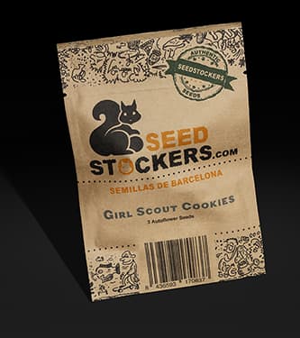 Girl Scout Cookies Auto > Seed Stockers | Semillas autoflorecientes  |  Indica