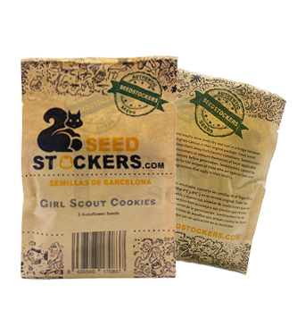 Girl Scout Cookies Auto > Seed Stockers | Autoflowering Hanfsamen  |  Indica