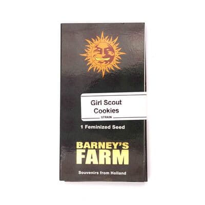 Girl Scout Cookies > Barneys Farm | Feminisierte Hanfsamen  |  Indica