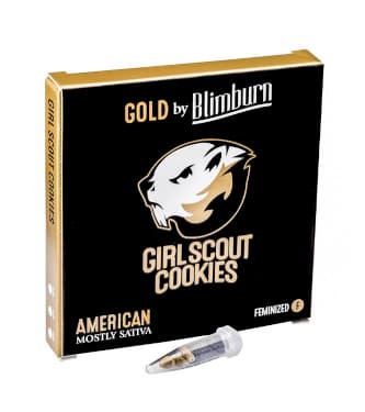 Girl Scout Cookies > Blim Burn Seeds | Feminized Marijuana   |  Sativa