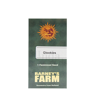 Glookies > Barneys Farm | Graines Féminisées  |  Indica