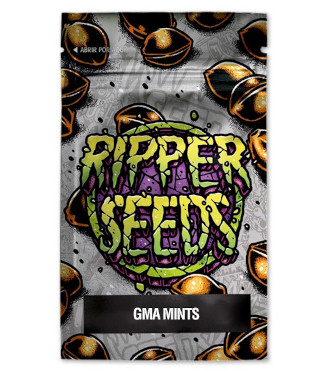 GMA Mints > Ripper Seeds | Feminisierte Hanfsamen  |  Indica