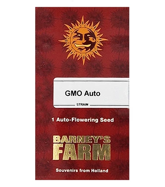 GMO Auto > Barneys Farm | Autoflowering Hanfsamen  |  Indica