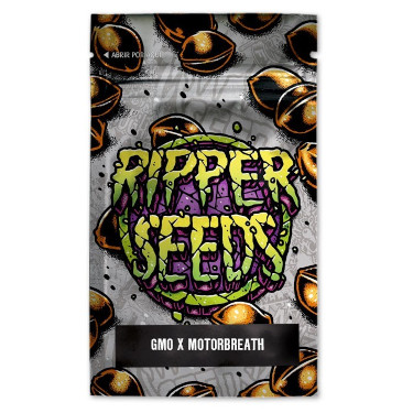 GMO x Motorbreath > Ripper Seeds | Feminized Marijuana   |  hybrid