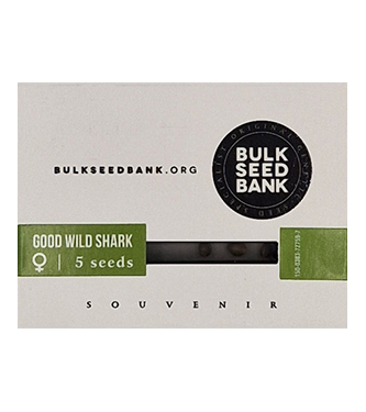 Good Wild Shark > Bulk Seed Bank | Feminisierte Hanfsamen  |  Hybrid