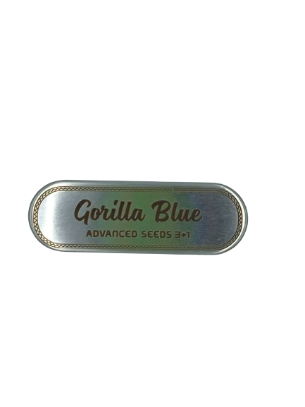 Gorilla Blue > Advanced Seeds | Semillas feminizadas  |  Índica