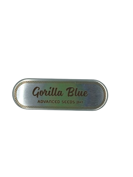 Gorilla Blue > Advanced Seeds | Feminized Marijuana   |  Indica