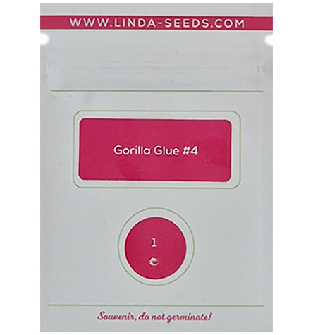 Gorilla Glue #4 > Linda Seeds | Cannabis seeds recommendations  |  Affordable Cannabis