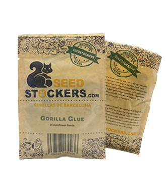 Gorilla Glue Auto > Seed Stockers | Graines Autofloraison  |  Indica