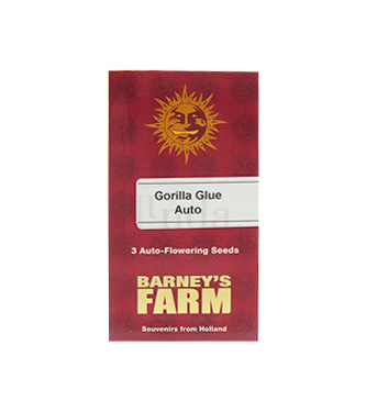 Gorilla Glue Auto > Barneys Farm | Semillas autoflorecientes  |  Híbrido