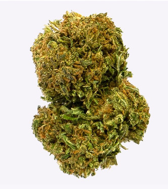 Gorilla Grillz Amnesia 47 > CBD weed | CBD Products