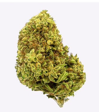 Gorilla Grillz Cherry Kush > CBD weed | CBD Products
