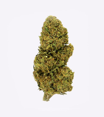 Gorilla Grillz Lemon Haze > CBD weed | CBD Products