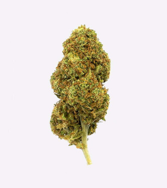 Gorilla Grillz Strawberry > CBD weed | CBD Products