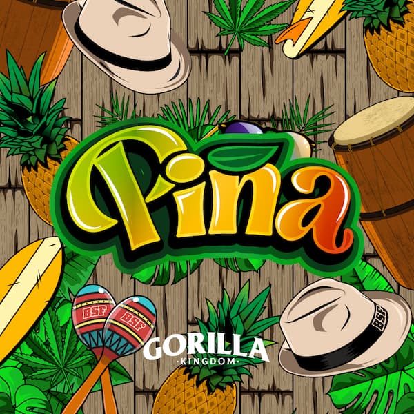 Gorilla Piña Samen > BSF Seeds | Feminisierte Hanfsamen  |  Sativa
