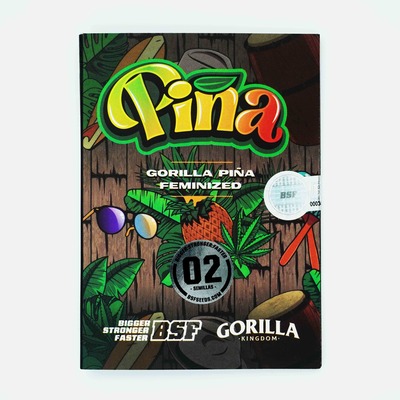 Gorilla Piña graines > BSF Seeds | Graines Féminisées  |  Sativa
