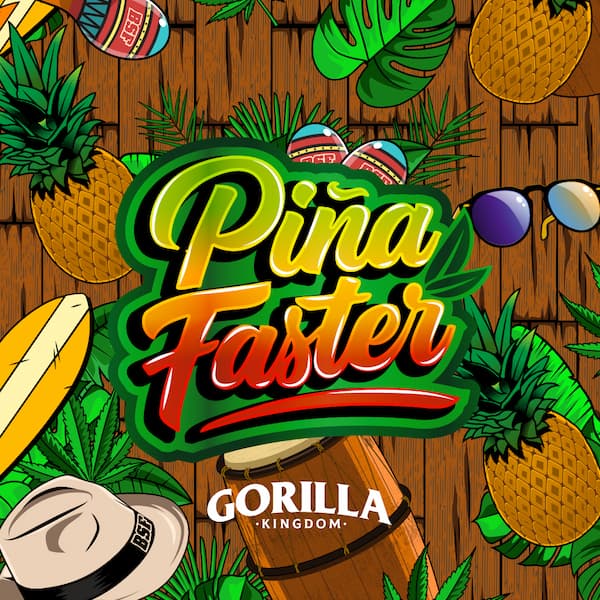 Gorilla Piña Faster Flowering graines > BSF Seeds | Graines Féminisées  |  Sativa