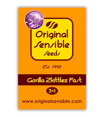 Gorilla Zkittlez Fast > Original Sensible Seeds | Semillas feminizadas  |  Índica