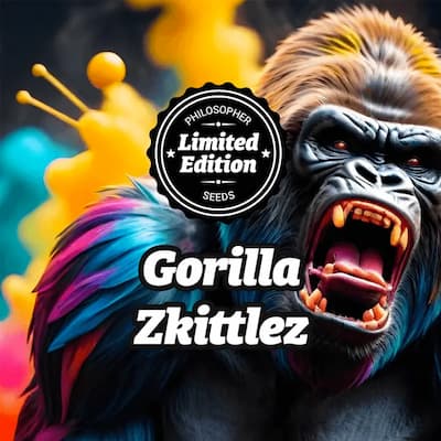 Gorilla Zkittlez graines > Philosopher Seeds | Graines Féminisées  |  Hybride