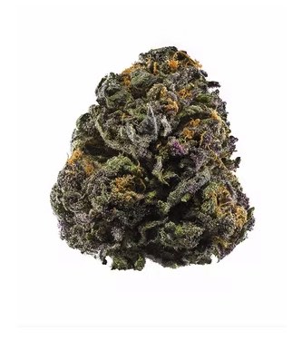 Granddaddy Purple > Graines en Gros