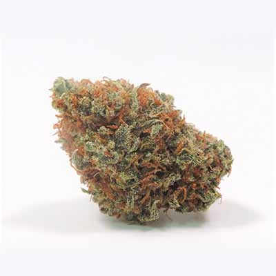 Grape Amnesia > Female Seeds | Feminized Cannabis   |  Sativa