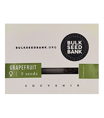 Grapefruit > Bulk Seed Bank | Graines Féminisées  |  Indica