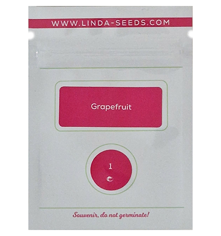 Grapefruit > Linda Seeds | Hanfsamen Empfehlungen  |  Günstige Hanfsamen