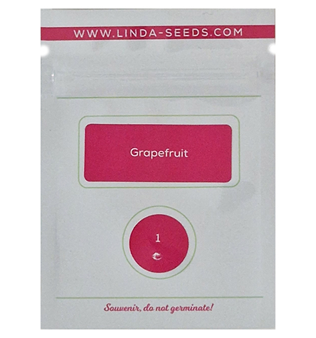 Grapefruit > Linda Seeds | Cannabis seeds recommendations  |  Cheap Cannabis