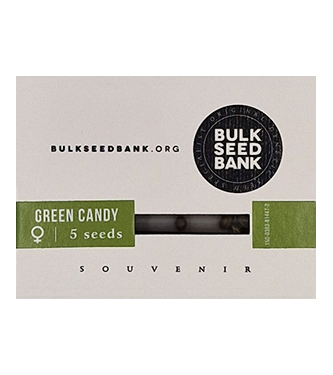 Green Candy > Bulk Seed Bank | Feminisierte Hanfsamen  |  Hybrid