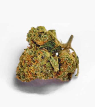 Green Candy > Bulk Seed Bank | Feminized Marijuana   |  hybrid