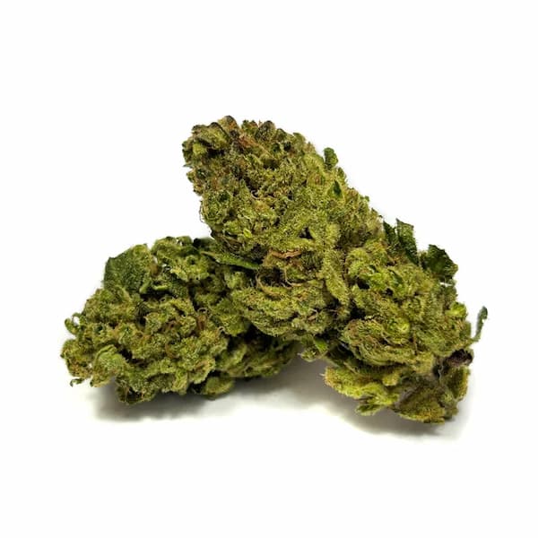 Green Crack Seed > DNA Genetics | Feminized Cannabis   |  Sativa
