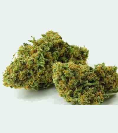 Green Crack > Fast Buds Company | Autoflowering Cannabis   |  Hybrid