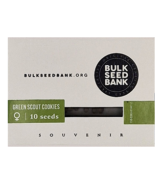 Green Scout Cookies > Bulk Seed Bank | Feminisierte Hanfsamen  |  Hybrid