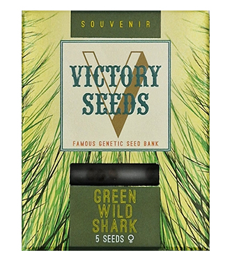 Green Wild Shark > Victory Seeds | Graines Féminisées  |  Hybride