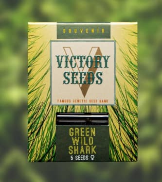 Green Wild Shark > Victory Seeds | Feminisierte Hanfsamen  |  Hybrid