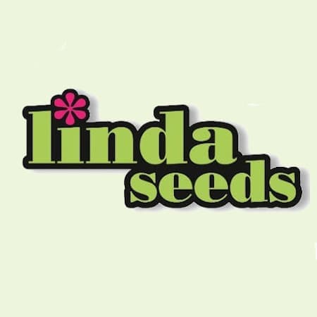 Affordable Cannabis Seeds