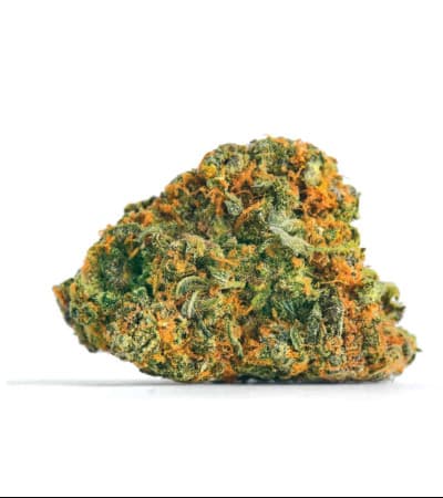 Guerilla Glue > Bulk Seed Bank | Feminized Marijuana   |  hybrid