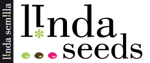 Sweet Seeds | Feminized Cannabis Seed | Linda Shop