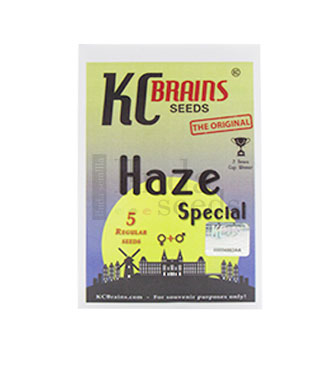 Haze Special > KC Brains | Recomendaciones para las semillas  |  TOP 10 semillas sativas